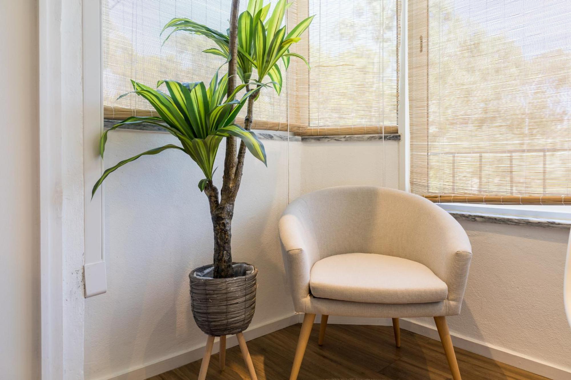 Beguest Cascais Cozy Studio Eksteriør bilde